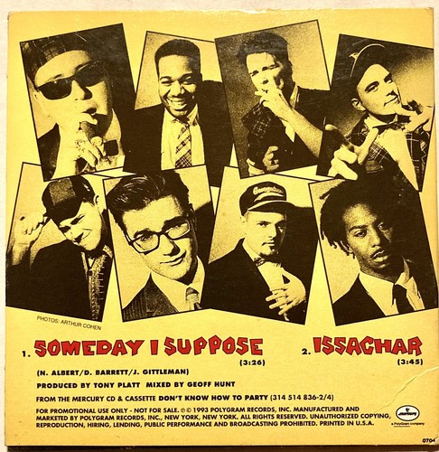 MIGHTY MIGHTY BOSSTONES SOMEDAY I SUPPOSE PROMO CD SINGLE CDP 901 MERCURY 1993 - Imagen 2 de 3