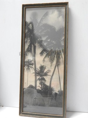 ANTIQUE TINTED  PHOTOGRAPH - HAWAII / FLORIDA COCONUT PALMS - W/ ORIG FRAMING
