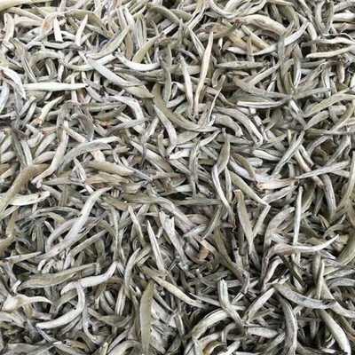 Chinese Silver Needle White Tea Silver Needle Bai Hao Yin Zhen Tea 250g