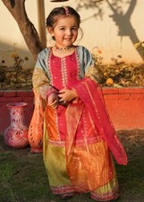 Pakistani Designer Eid Party Dress