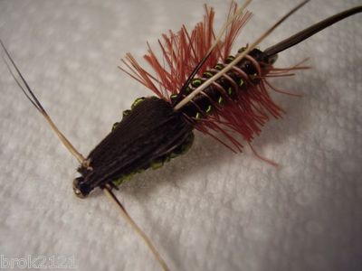 10 x Mouche de peche Chironome Epoxy Noir H12/H14