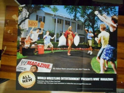 WWE Diva Trish Stratus Wrestling Posters