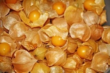 Aunt Molly's Tomatillo Seeds- 20 Seeds (Ground Cherry ) Comb. S/H 