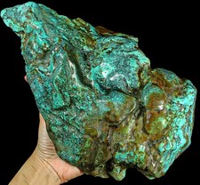 12250Ct Arizona Turquoise Rough Specimen Old stock YNSA17