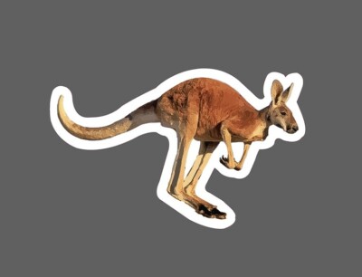 一時的　TIME IS ON KANGAROO JUNPER s-l400.jpg