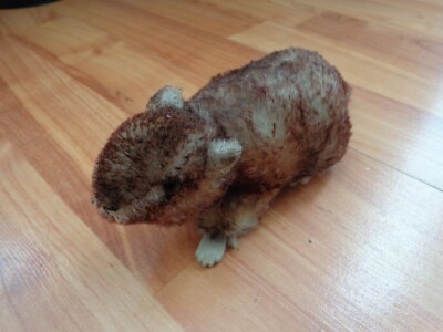 VINTAGE ANTIK 50er JAHRE STEIFF MOHAIR MUMIE MURMELTIER MURMELTIER PLÜSCHTIER WEICHES SPIELZEUG