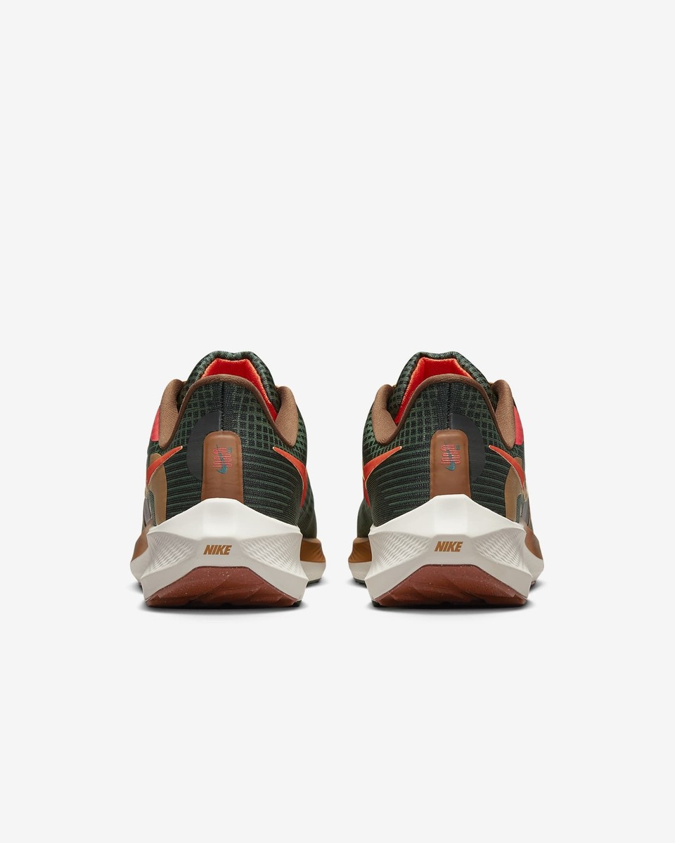 NIKE AIR ZOOM PEGASUS 39 A.I.R. HOLA LOU MEN\'S Size 13 NWOB NIKE AIR ZOOM PEGASUS 39 A.I.R. HOLA LOU MEN main image 4