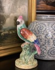 Splendid Rare 19C English Staffordshire Tropical Parrot Parakeet Macaw Bird 9” — photo 9