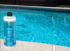90-Day Lo-Chlor Algaecide Swimming Pools Last 3 Months - 32 oz (Choose Size)