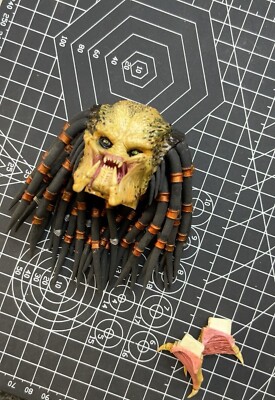 Hot Toys HT 1/6 Celtic Predator Head Sculpt Figure Alien vs