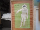 Pablo Picasso portrait of Pierrot  Fabulous large 1960's serigraph / lithograph