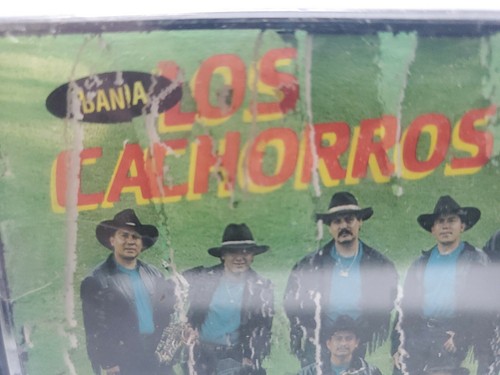 BANDA LOS CACHORROS "HIJOS DE LEON" CASSETTE New Sellado Fonovisa Rare 1993 OOP - Picture 4 of 4