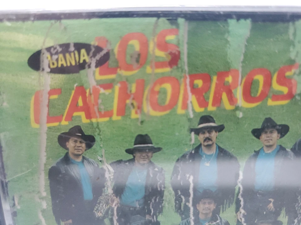 BANDA LOS CACHORROS "HIJOS DE LEON" CASSETTE New Sellado Fonovisa Rare 1993 OOP - Image 4 of 4