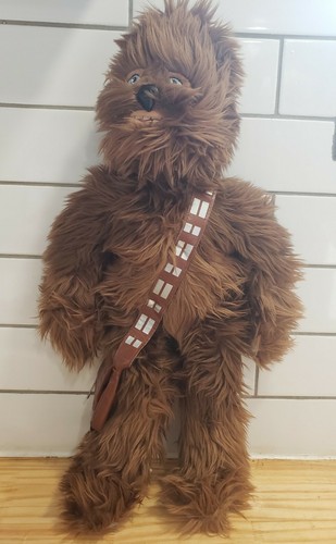 house smells of cat pee