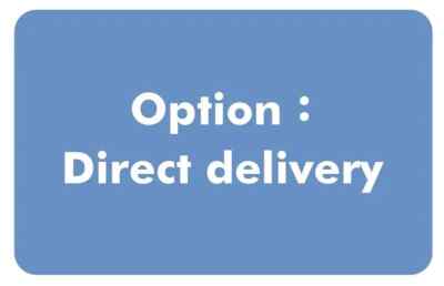 Option:Direct Delivery | eBay