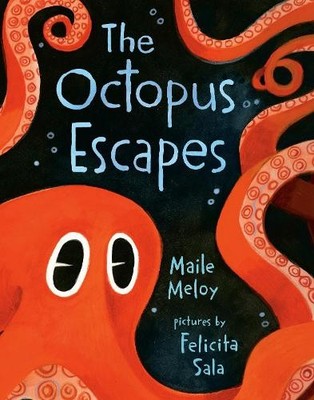 Maile Meloy The Octopus Escapes (Kartonbuch)