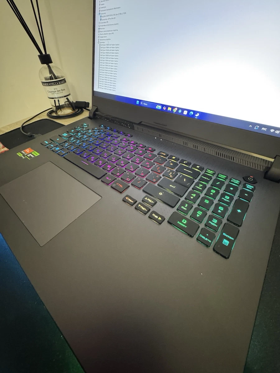 Asus ROG Strix G17 (2023) G713PU-LL043 Gris Eclipse (90NR0C54-M00690)