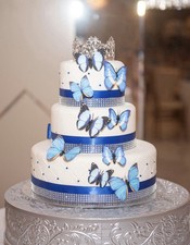 Fake Cake