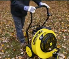 Champion 200947 Walk Behind Leaf Blower