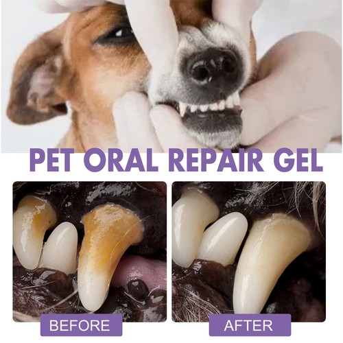 1/3x Pet Oral Repair Gel Reduce Plaque Tartar Buildup Breath Freshener No Brush - Picture 9 of 16