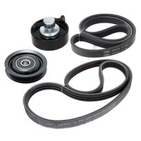SKF Keilrippenriemensatz Vkma 62199