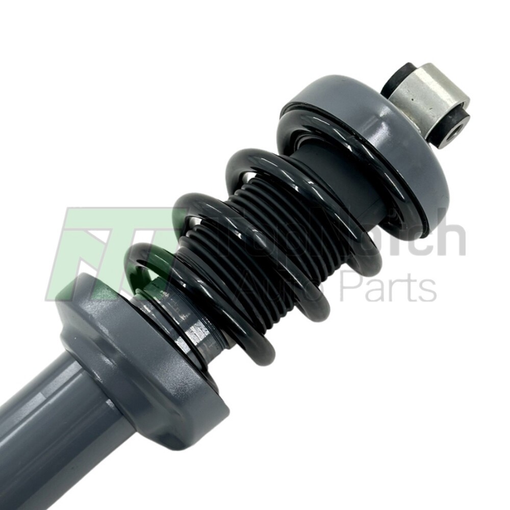 Audi R8 2016-2021 Front Left Strut assemblies Pair P/N 4S0412019K