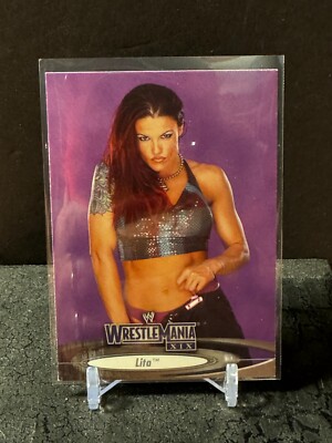 2003 Fleer WWE Wrestling LITA Multiple Mania Card #74 BUF | eBay