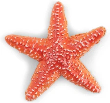 - Hand-Painted - Figurine - Marine Life - Starfish-56050 - Collectible - for Chi