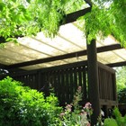 Bild 7 von 7