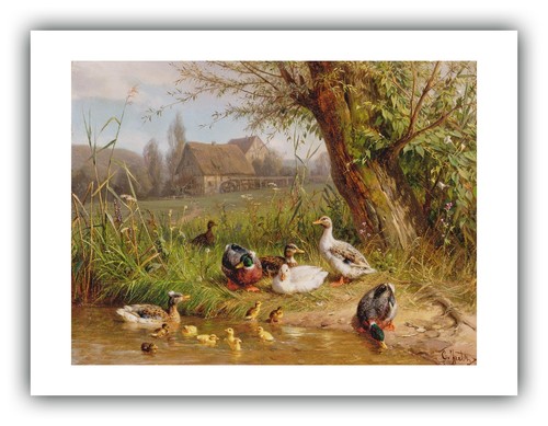 Carl Jutz : "Mallard Ducks with their Ducklings" — Giclee Fine Art Print - Picture 3 of 7