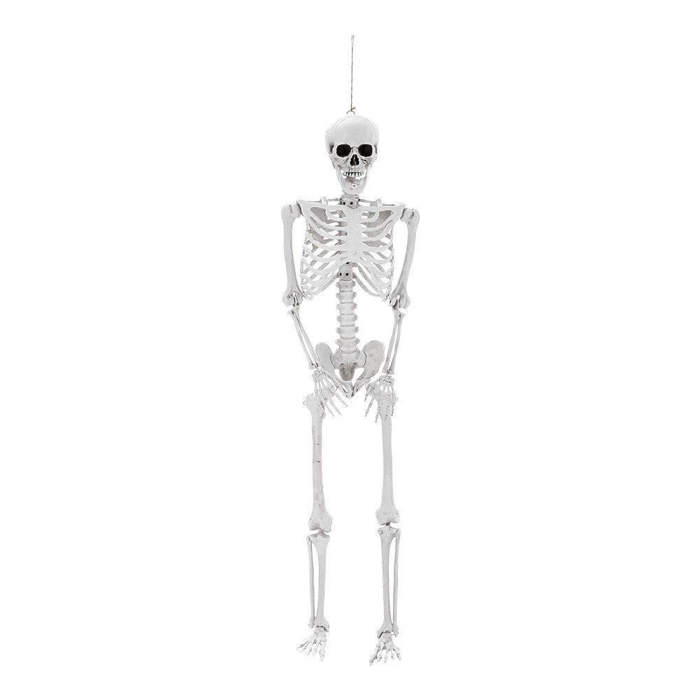 170cm Halloween Poseable Skeleton Full Life Size Human Skeleton