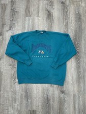 Vintage Charlotte Hornets crewneck Lee Sport