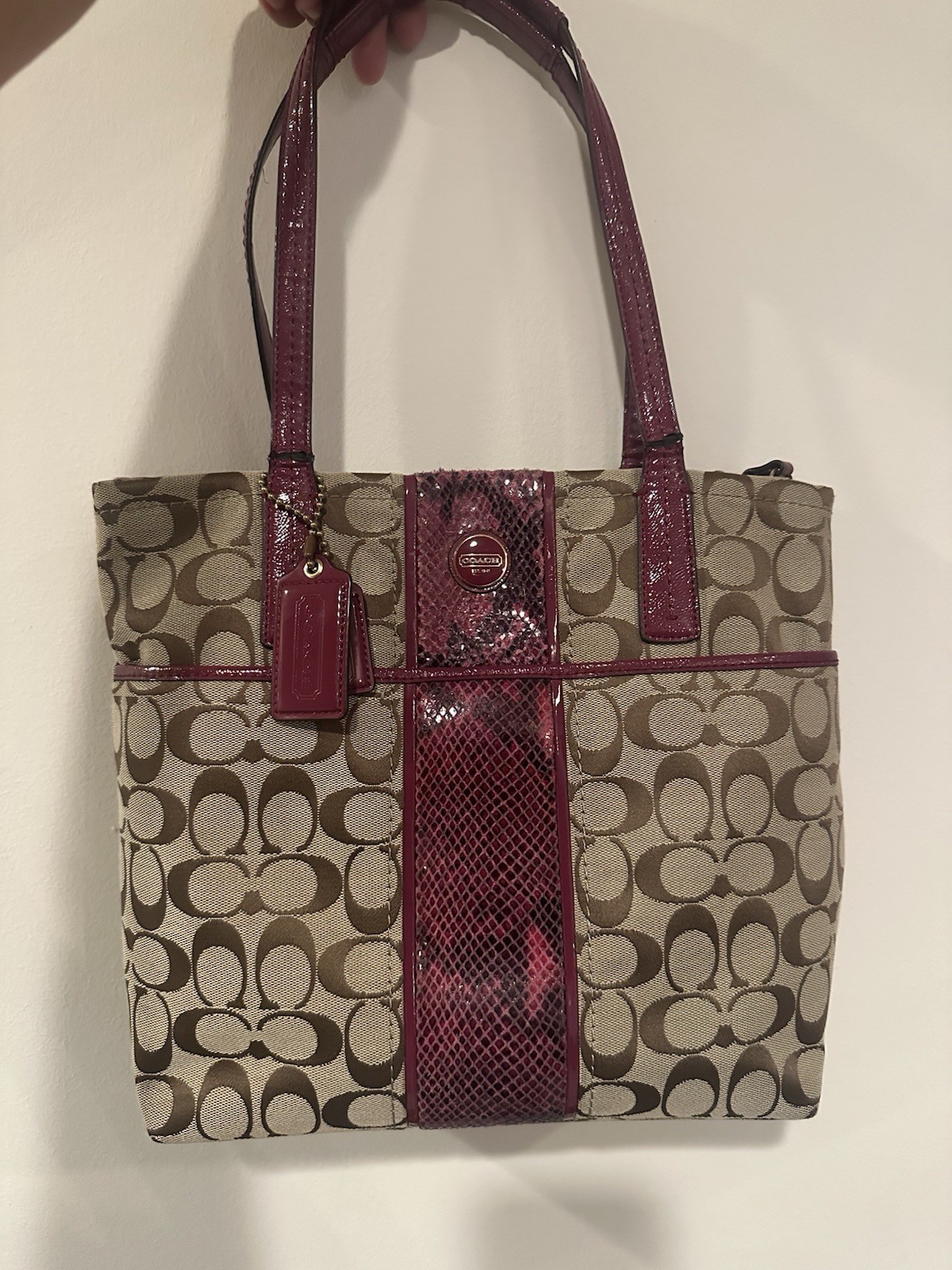 Coach Purse Shoulder Bag