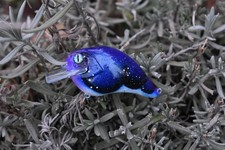 Howell Custom Lures - Midnight Gill - Custom Painted Fishing Lures Swimbait Bass