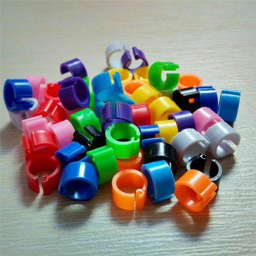 100pcs 16/20mm Chicken Poultry Foot Ring Hen Leg Clip Band Duck Bird Ring Parrot - Picture 7 of 11