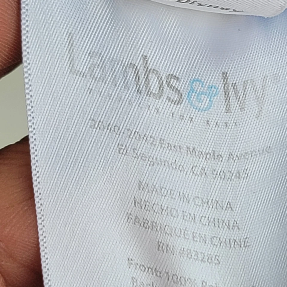 Edredón de cuna de bebé Lambs & Ivy Lion King Adventure  Foto 3 de 4