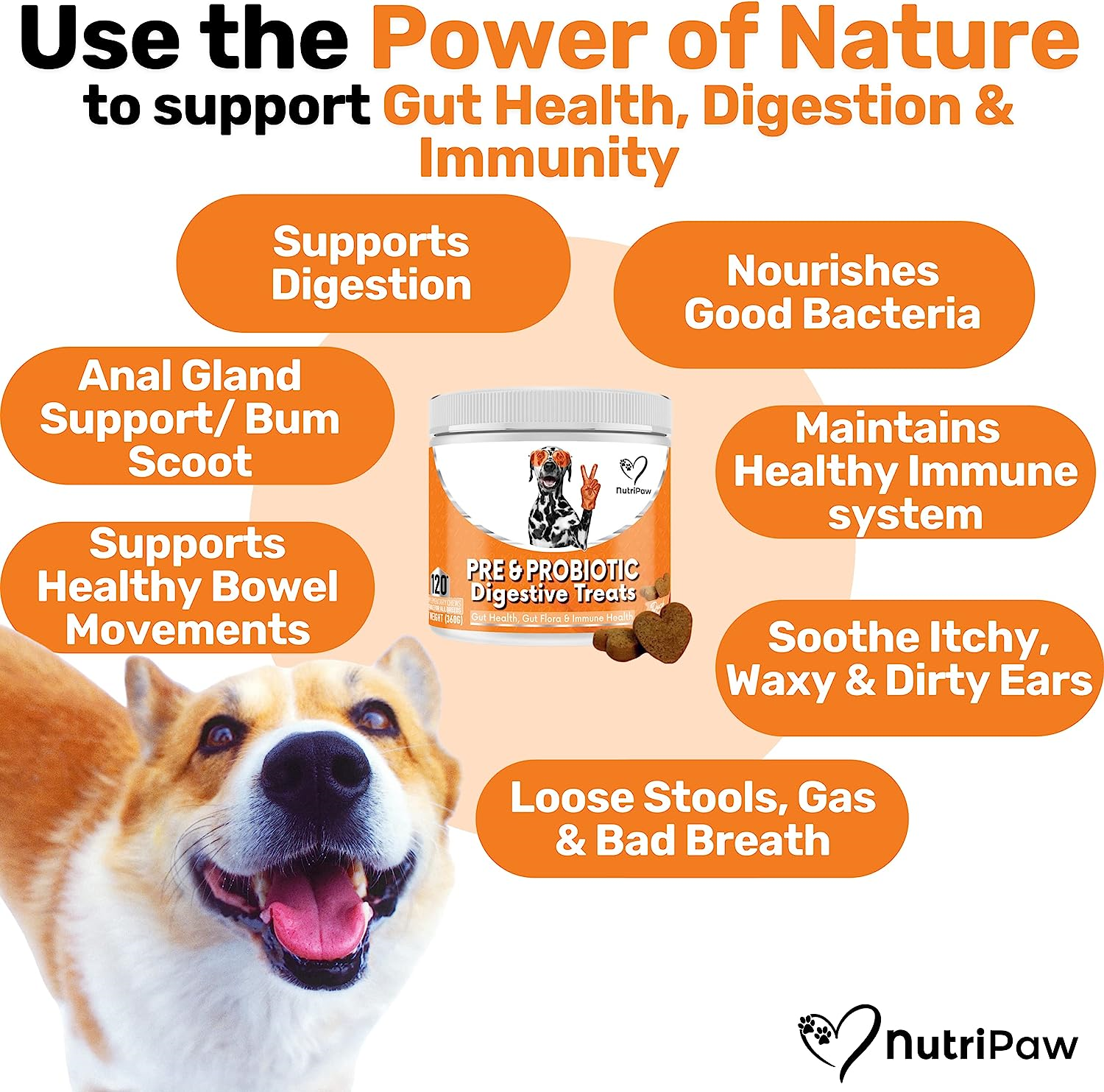 NutriPaw Pre & Probiotic Digestive Treats For Dogs Gut & Digestive
