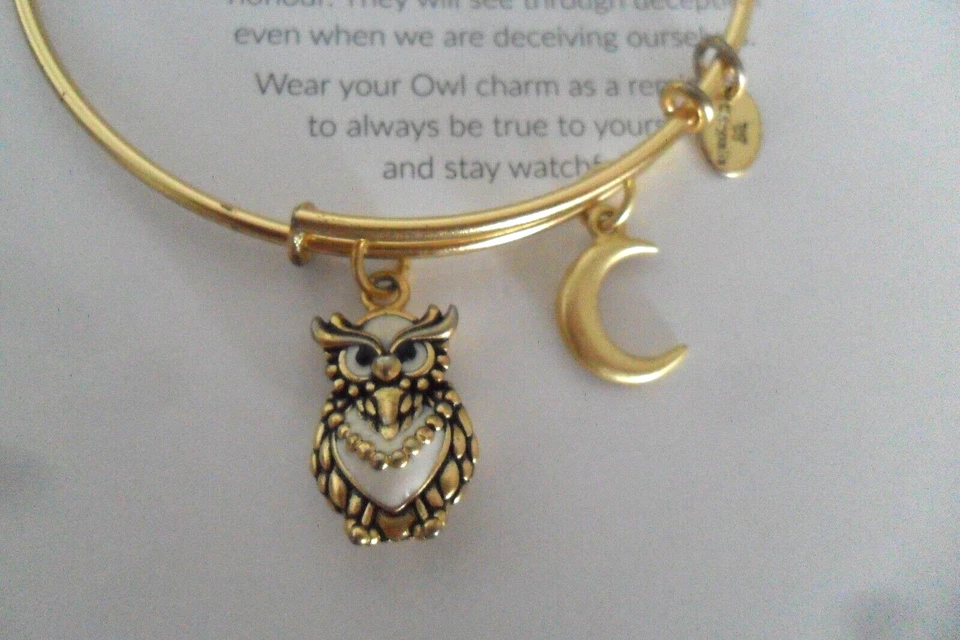 Armband Armreif Chrysalis Eule Owl CRBT2006GP– Farbe gold, Neuwertig - Bild 3 von 3