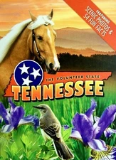 Tennessee Souvenir Playing Cards