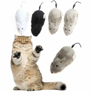 ebay cats toys