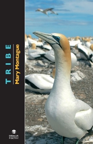 Tribe,Mary Montague - Image 3