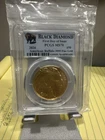 2 Coins. 1904 $20 Liberty Gold Double Eagle MS-64 AND 2024 American Gold Buffalo