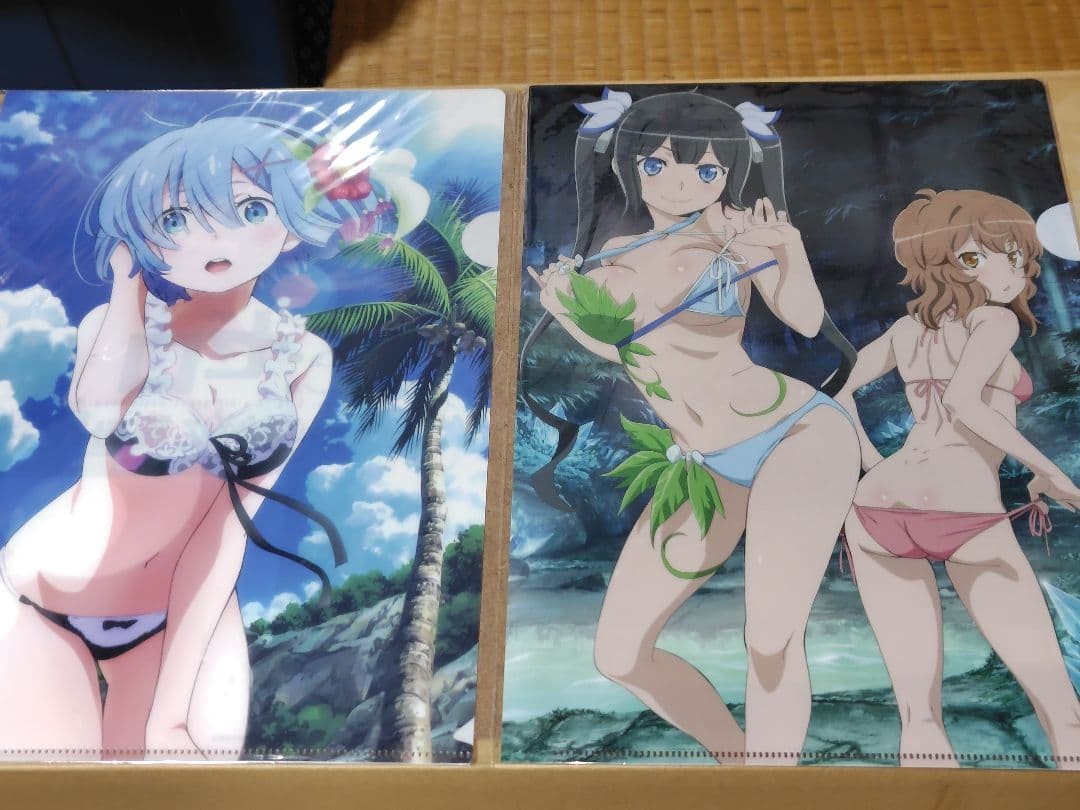 Re:Zero Rem & Danmachi Hestia Clear File Set Anime Character Goods Unused