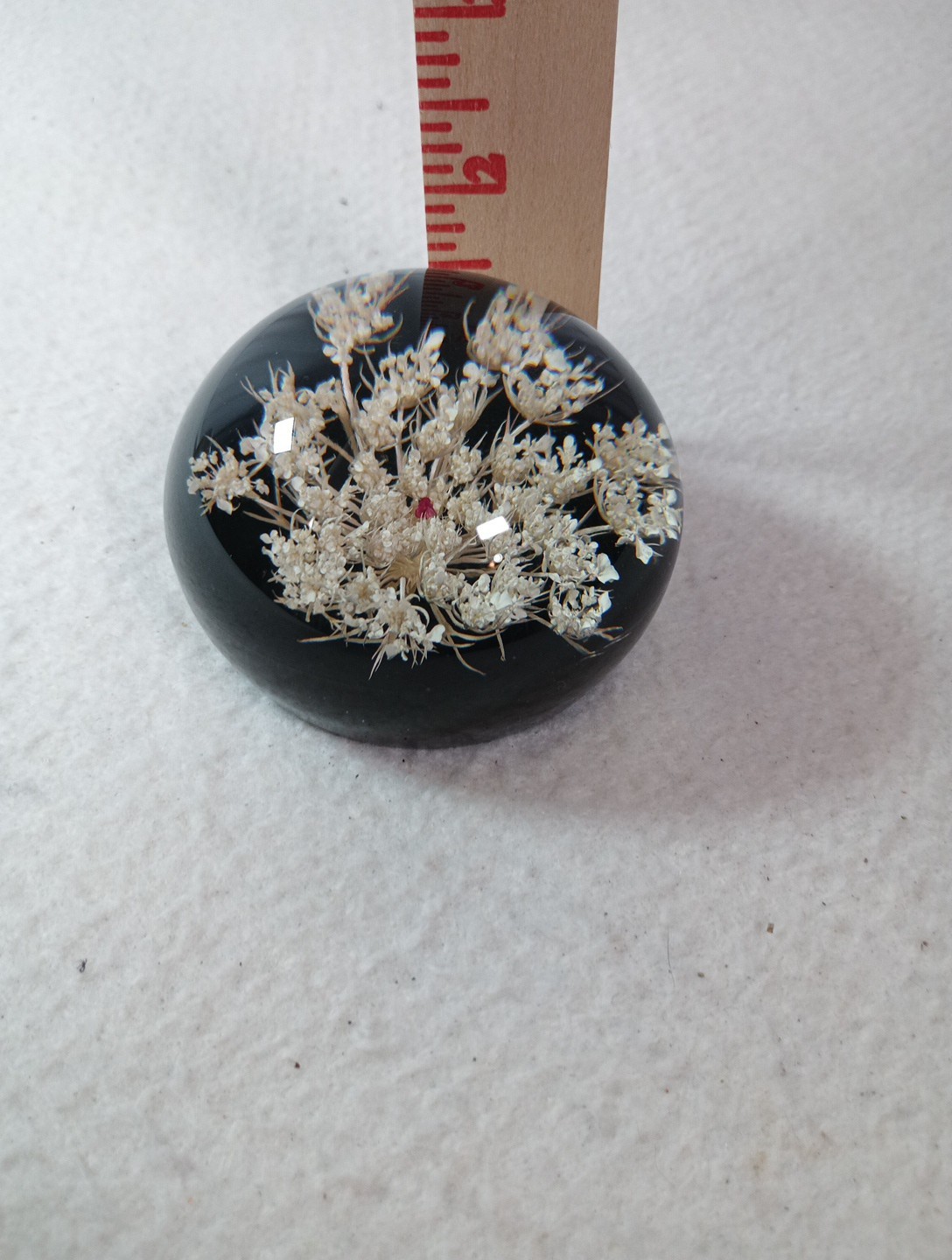 Picture 6 of 8