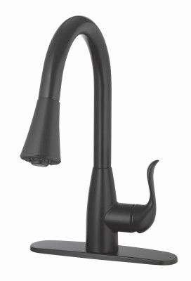 Single Handle Pull-Down Spray Kitchen Faucet, Matte Black - 109728