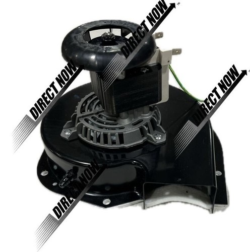 FB-RFB405 | Goodman Draft Inducer 115V B40590-00, 7002-3036, J238-112-11195 - Picture 3 of 4