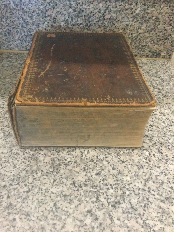 Die Bibel oder die Heilige Schrift des Alten und Neuen Testaments  - Bild 3 von 4