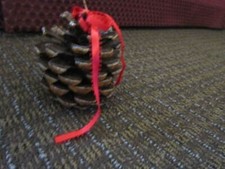 Coated Large Round Pinecone Christmas Ornament Decoration FREE SHIP