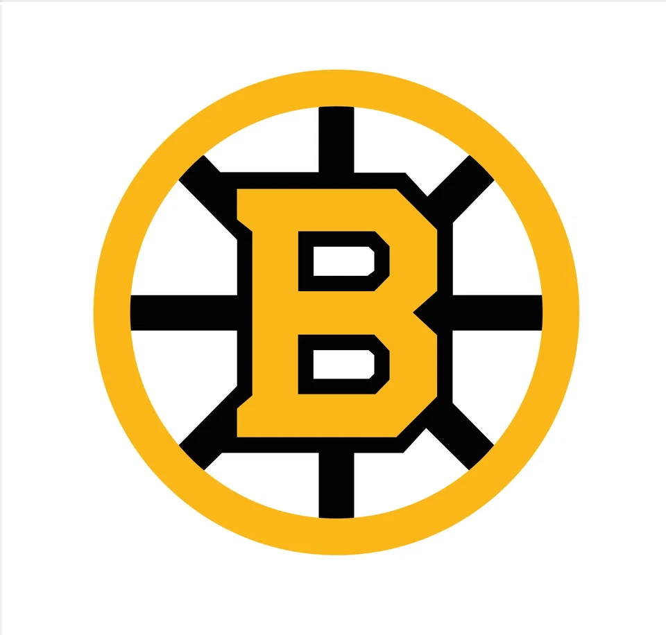 SSSCO Boston Bruins NHL Weather Resistant Vinyl Die Cut Sticker Decal 02