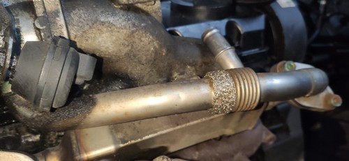 038131521AF Abgasrohr Abgasrückführung   Seat Alhambra DE1556453-06